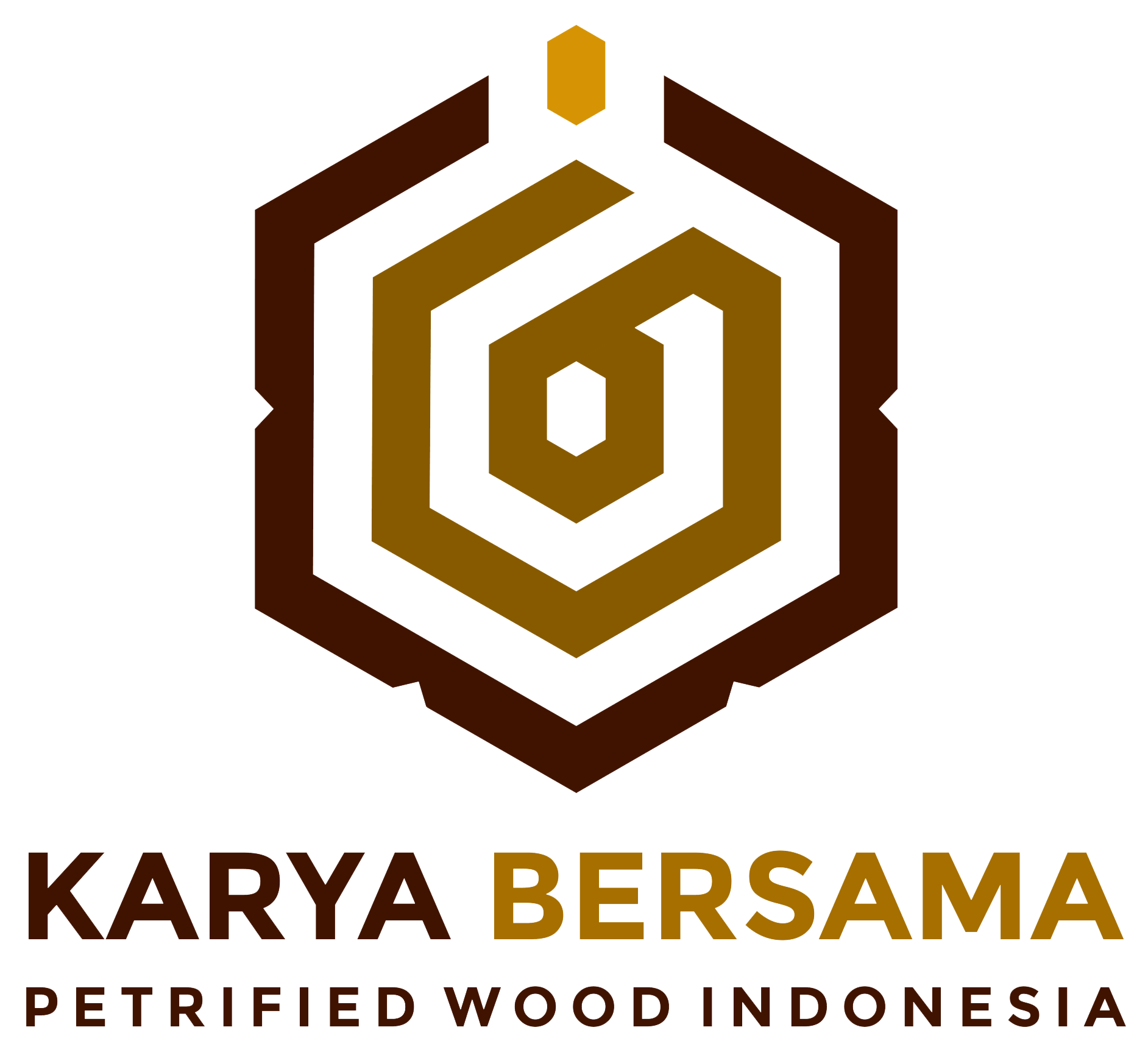 Petrified Wood Indonesia